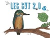 Logo officiel 2022 P